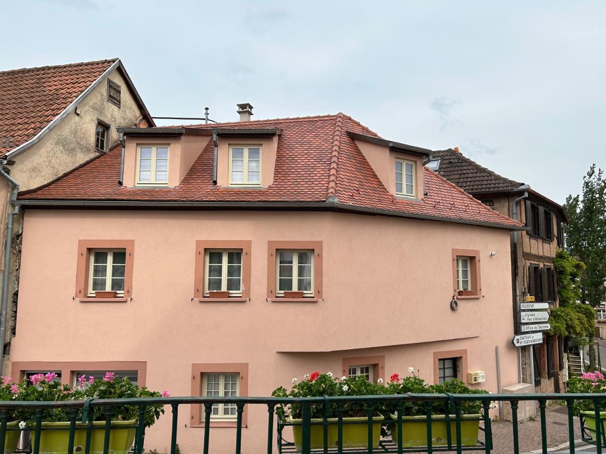 Gite Ma Maison Kintzheim Extérieur photo