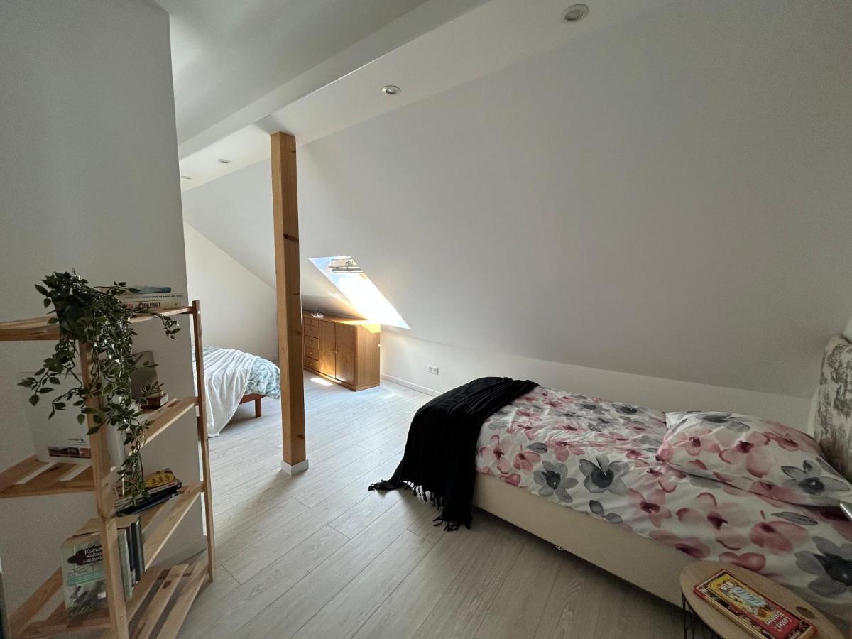Gite Ma Maison Kintzheim Extérieur photo